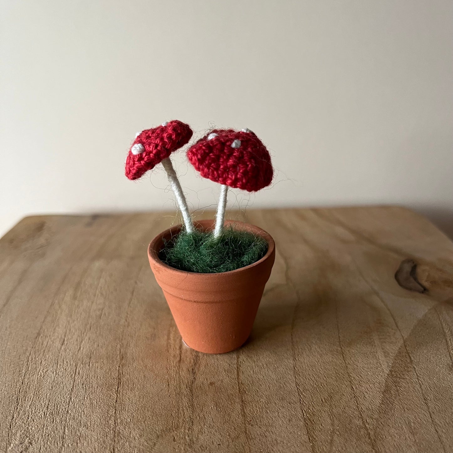 Tiny Toadstool pot