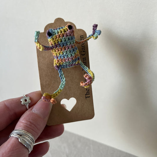 Rainbow frog brooch