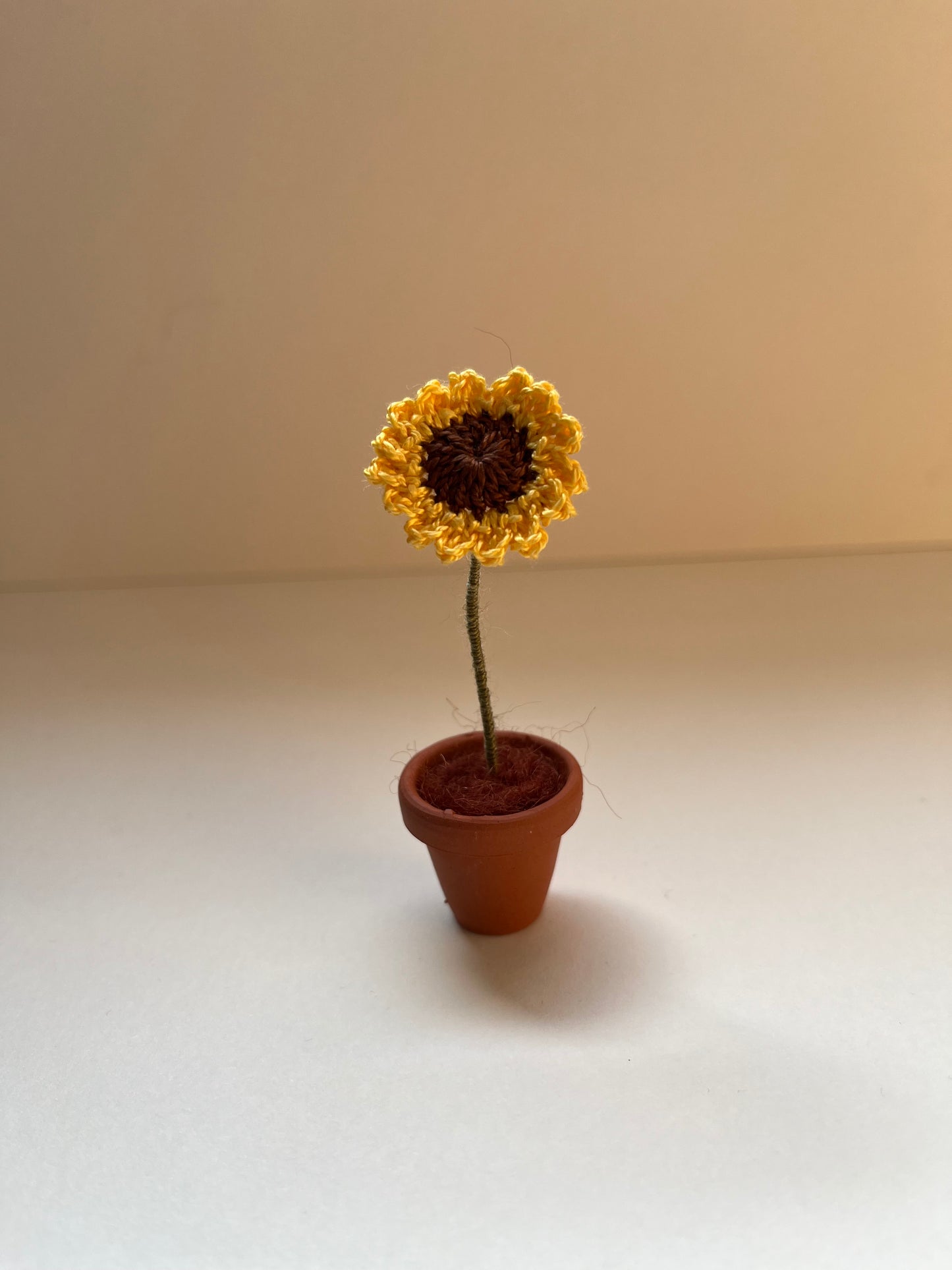 Sunflower pot