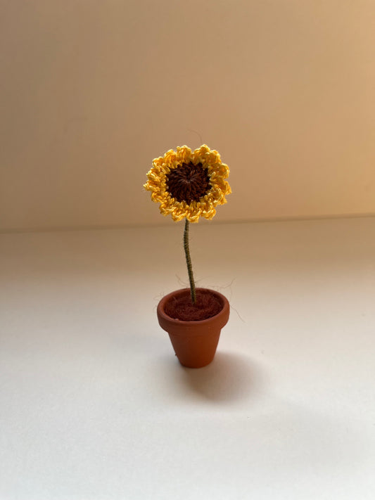 Sunflower pot