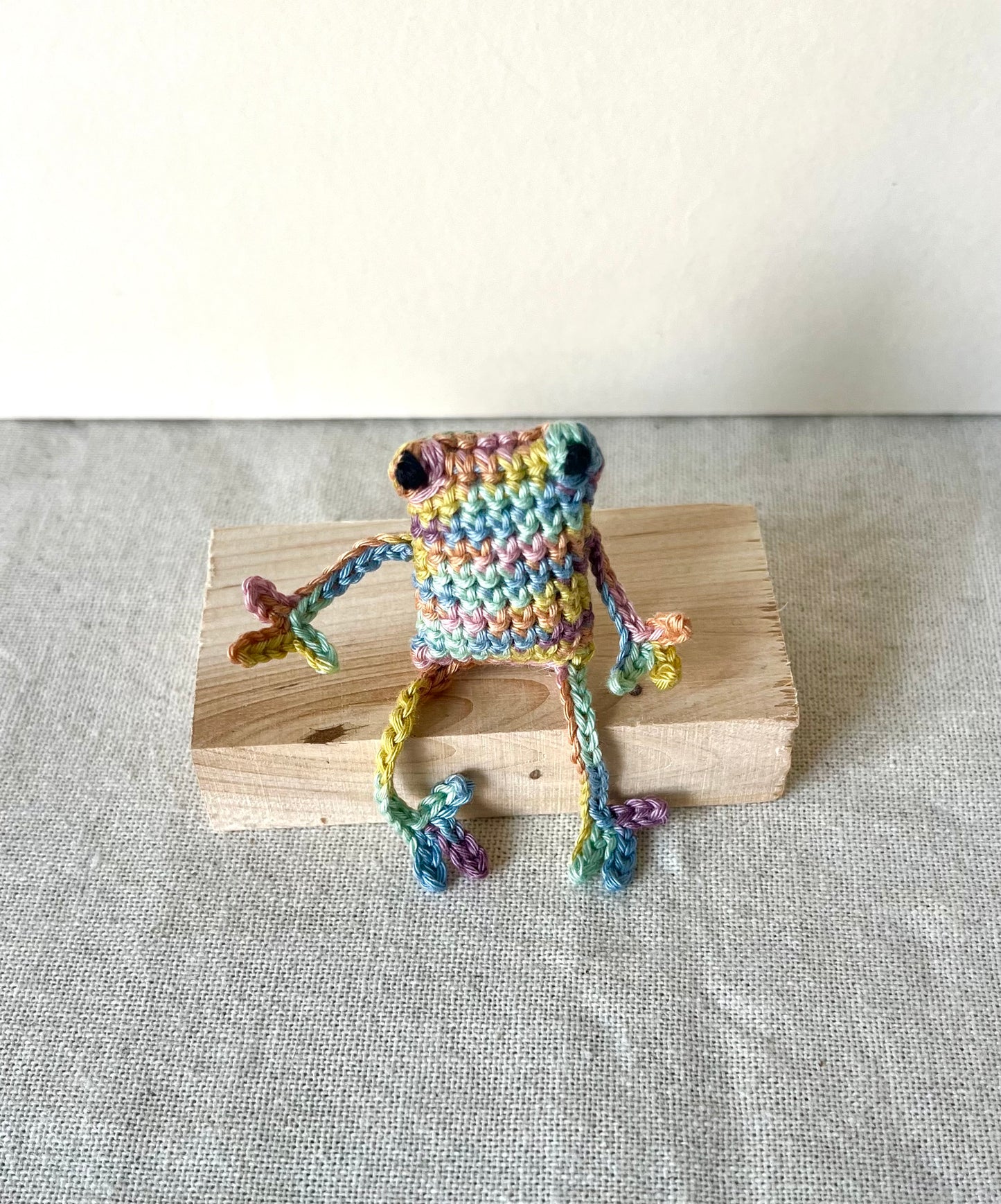 Rainbow frog brooch