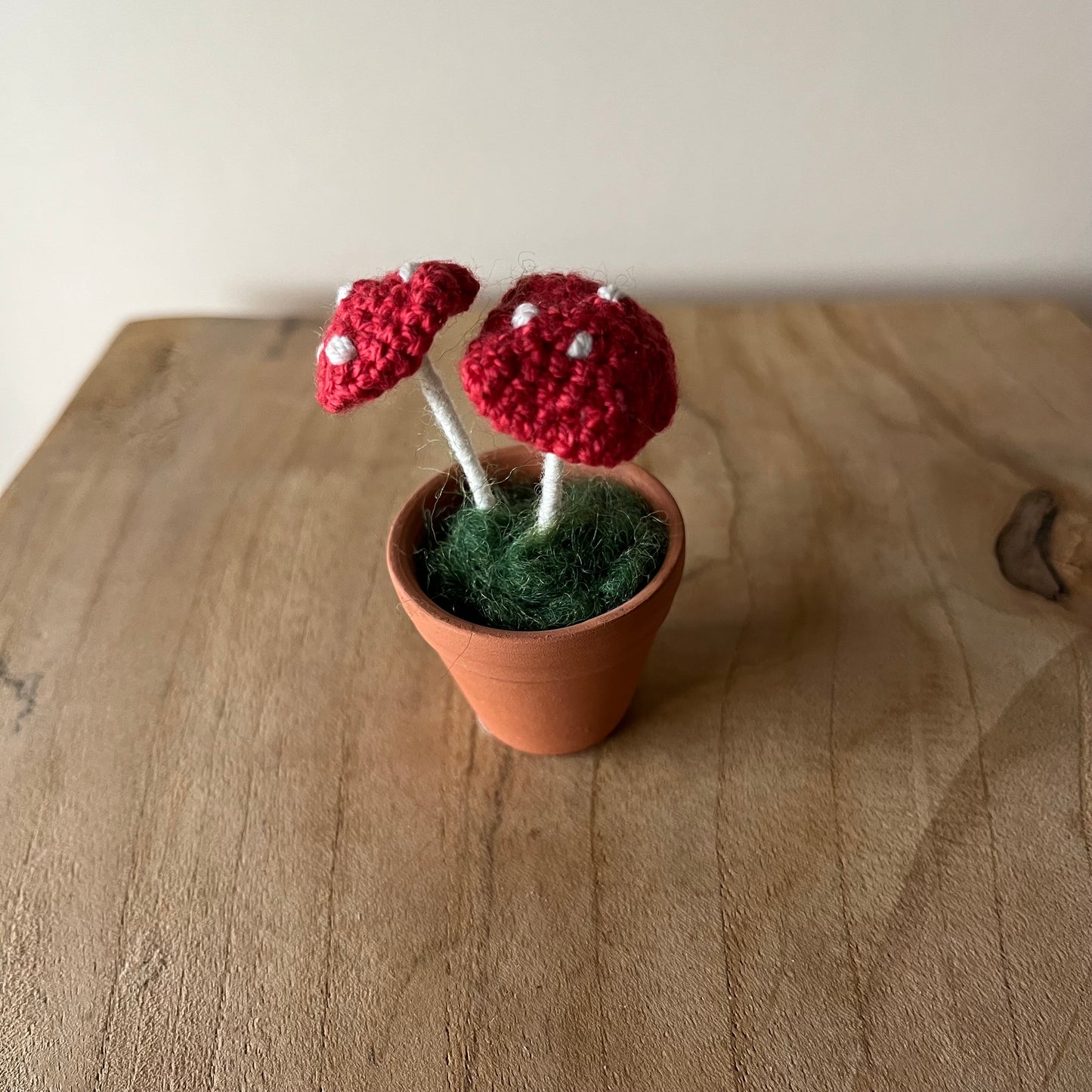 Tiny Toadstool pot
